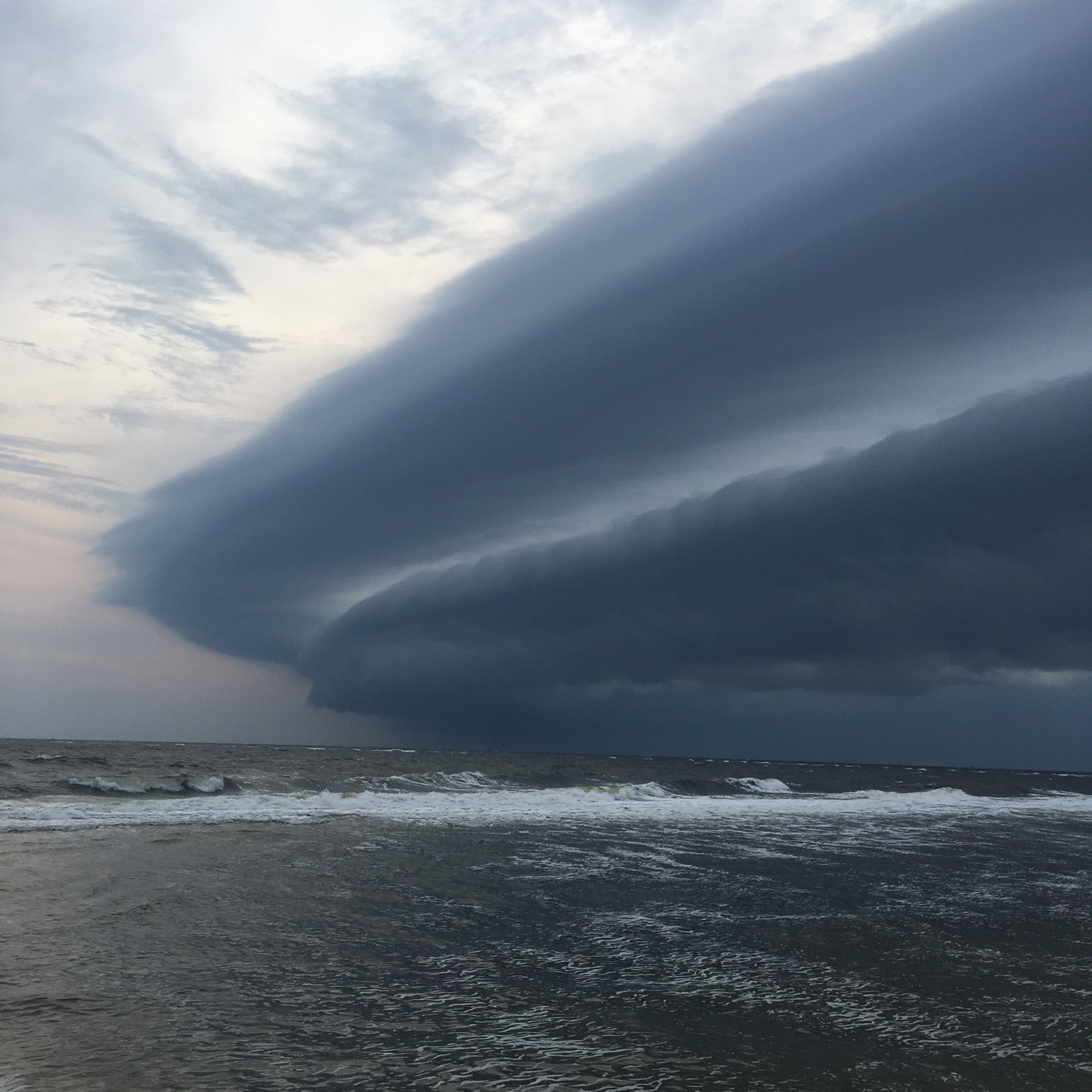 Arcus